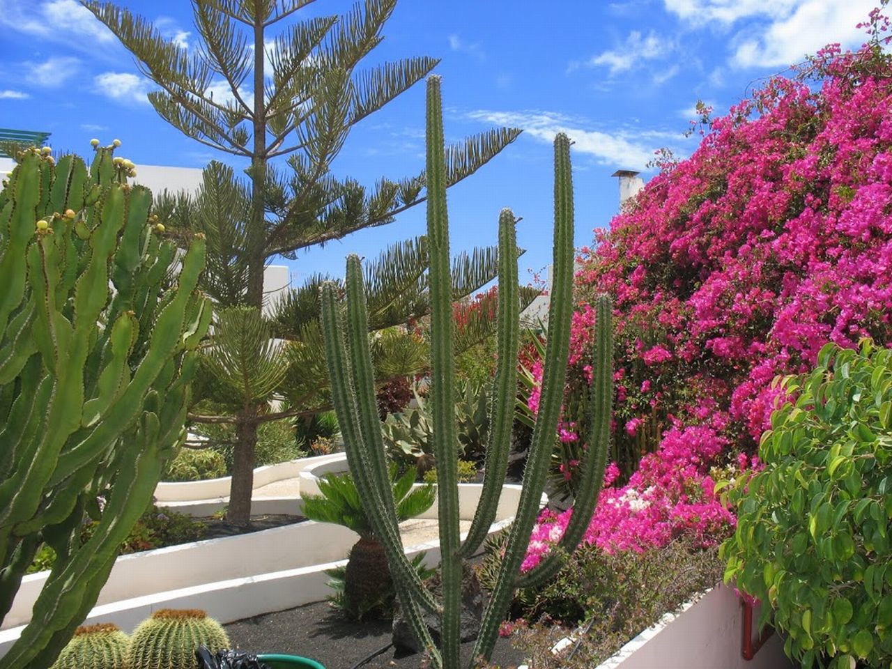 Apartamentos El Guarapo Costa Teguise Kültér fotó